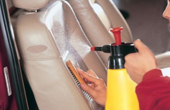 Golfinho Lava Car - Foto 1