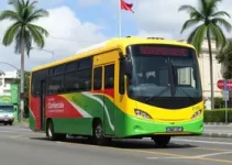 concessão do transporte público