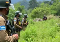 Curso de Patrulhamento Ambiental