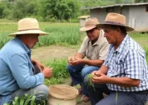 fortalecimento do setor rural