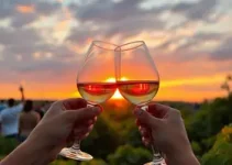 Festival Dia do Vinho