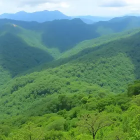 preservação do meio ambiente