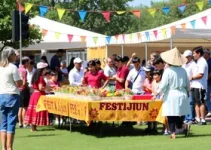 Festijun