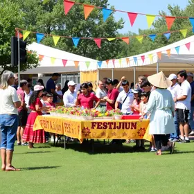Festijun